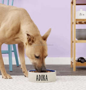 Bol de nourriture pour chien en acier inoxydable élégant avec forme rectangulaire élégante Mangeoire moderne de taille XL pour animaux de compagnie et bol à boire pour une utilisation automatique - Product Image 3