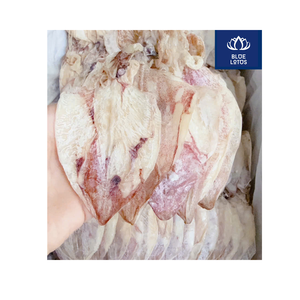Calamars séchés de qualité supérieure, durables et disponibles – Meilleures ventes, à essayer absolument – Fruits de mer purs et transformés – Prix de gros pour l'exportation en vrac - Product Image 4