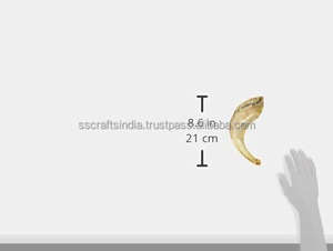 Cepillo de limpieza de cuerno Musical Kosher Ram Shofar hecho a mano, soporte de shofar en aerosol antiolor de ágata y bolsa de Shofar, regalo judío decorativo - Product Image 5