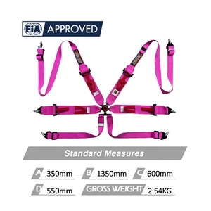 เข็มขัดนิรภัยสำหรับแข่งรถ TBRACING SPORT S ได้รับการรับรองมาตรฐาน FIA 8853 ปี 2016 แบบหกจุด รับผลิตแบบ OEM ODM พร้อมโลโก้และสีตามสั่ง ขายส่ง - Product Image 2