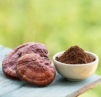 Extrait de Ganoderma Premium en Poudre en Vrac 100% Pur et Naturel – Complément Herbal pour le Soutien Immunitaire – Fournisseur OEM en Gros