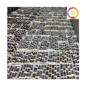 Caña de Azúcar Congelada |   Jugo de Caña de Azúcar Fresco Natural IQF para Uso en Restaurantes de Playa, Suministro a Granel, Vietnam - Product Image 2