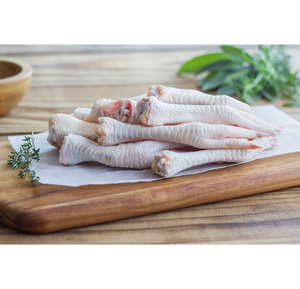 Wholesale Frozen <b>Chicken</b> Feet and Paws Premium Quality Bulk Supply Ready to Ship for Global Food Importers - Product Image 5