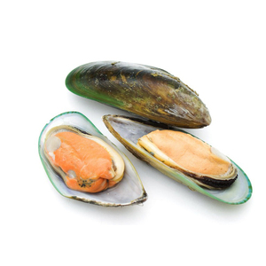 หอยแมลงภู่แช่แข็งเพื่อบรรจุและจำหน่าย - Product Image 3
