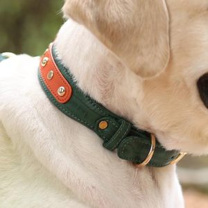 Collar de Cuero Hecho a Mano para Perro con Etiquetas Personalizadas de Latón Dorado Sólido a Precio de Mayoreo - Product Image 6
