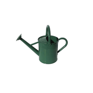 Regadera de Metal de Doble Asa de Diseño Clásico y Calidad Premium para Usos Múltiples, Hecha en India - Product Image 2