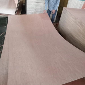 FOMEX GREENWOOD Contreplaqué de bouleau commercial de première qualité, face en contreplaqué, noyau de haute qualité pour meubles modernes - Product Image 3