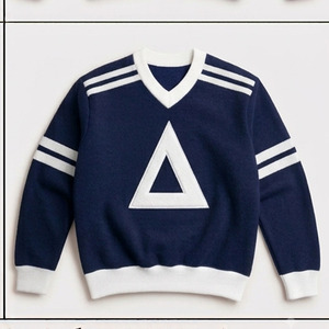 Sudadera Personalizada de la Fraternidad Delta, Cuello en V con Apliques de Letras Griegas, Sudadera Universitaria de Felpa de Algodón, Ropa Universitaria Vintage - Product Image 4