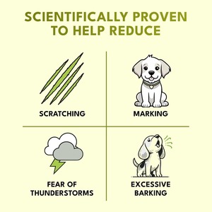 Friandises à Mâcher Apaisantes pour Chiens – Soulagement de l'Anxiété et du Stress – Toutes Races – Sans Céréales – 2,5 g/unité – Absorption Rapide – Soutien Immunitaire - Product Image 6