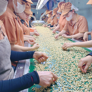 Ready To Ship Cashew <b>Nuts</b> Broken Vietnamese Cashew <b>Kernels</b> Kaju SANTIGO Caju OEM, ODM Packaging - Product Image 6