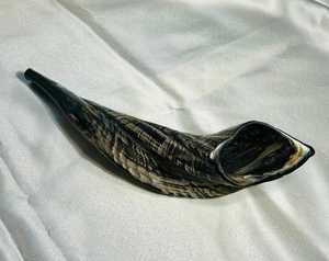 Cuerno de Carnero Kosher, Semipulido, Shofar |   Auténtico Cuerno de Shofar de Israel |   Corneta Judía, Chofar Original de Israel. - Product Image 5