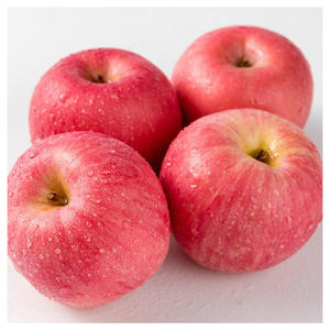 Pommes rouges Fuji en gros pour les fabricants de jus, les transformateurs alimentaires et les grossistes en fruits - Product Image 2