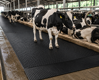 Tapis en caoutchouc côtelé AgriComfort Pro pour vaches, anti-fatigue, imperméable, résistant, pour l'élevage, l'écurie, la ferme laitière, le traiteurage