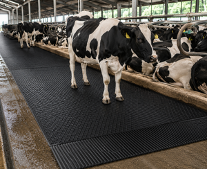 แผ่นยางรองพื้นคอกวัว AgriComfort Pro แบบมีร่อง ป้องกันความเมื่อยล้า กันน้ำ ทนทาน สำหรับฟาร์มโคนม - Product Image 1
