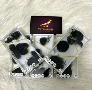 Extensions de cils professionnelles faites à la main à ventilateur facile 20D coréen PBT hybride longueur classique Volume Extensions de cils plateaux au Viet Nam - Product Image 2
