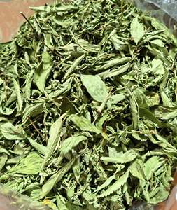 Hojas de Stevia Secas al Sol de Primera Calidad, 500g, Bolsa con Cierre Hermético para Bebidas Herbales y Preparación de Té - Product Image 3