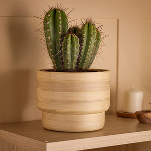 Jardinières et pots de fleurs créatifs en bambou naturel tressé, légers, pour l'intérieur, fabriqués au Vietnam - Product Image 4