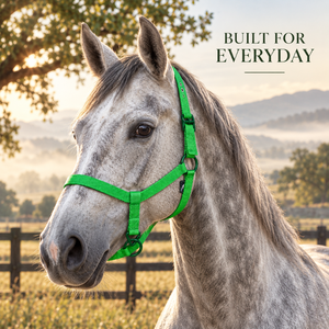 Harnais pour cheval en nylon vert avec couronne réglable et anneaux métalliques |   Collier équestre vert vif avec sangle tissée côtelée - Product Image 4