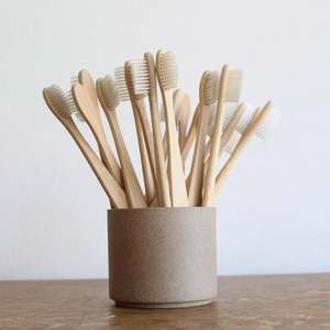 Brosse à dents écologique Blue Lotus Farm, très bien cotée, à poils moyens, manche biodégradable, réutilisable pour adultes - Product Image 2