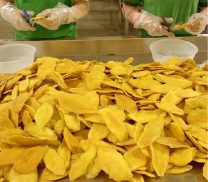 Mejor Precio, Delicioso Mango Deshidratado en Rodajas Grandes, Bajo en Azúcar, Larga Duración (24 Meses), Envasado al Vacío, Picante - ANNA DO (OEM/ODM) - Product Image 6