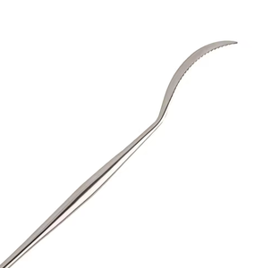 Levier osseux Lane, petit, simple, avec crochets orthopédiques, instrument chirurgical médical pour traumatologie, porte-aiguille, instruments orthopédiques, levier osseux - Product Image 3