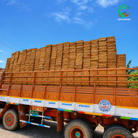 Bloc de coco compressé 5kg, Cocopeat triple lavage, haute rétention d'eau, hydroponie, Inde, Tamil Nadu, export en vrac, palettisé