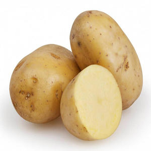 มันฝรั่งสดคุณภาพสูง เกรด AA นำเข้าจากสหราชอาณาจักร อายุการเก็บรักษา 2 ปี - Product Image 1