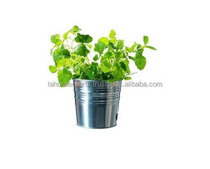 Nouvel arrivage Jardinière élégante faite à la main en métal et fer Finition émaillée Décoration murale de jardin pour hôtel Restaurant Décoration murale - Product Image 5
