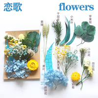 Resin Daun Bunga Kering Asli Campuran DIY Perhiasan Pernikahan Lilin Sabun Pembuatan Vas Seni Kuku Kartu Scrapbook Kerajinan Dekorasi Bunga