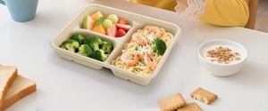 Assiettes carrées de luxe écologiques compostables à 3 compartiments pour pique-nique, camping, service alimentaire extérieur, en bagasse 2026 - Product Image 1
