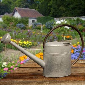 Wholesale Vintage <b>Metal</b> Watering Can - 1 Gallon Yellow Galvanized Iron Garden Plant Water Pot with Long Spout for Indoor Outdoor - Product Image 6