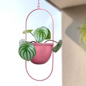 Pots à fleurs suspendus de fabrication indienne, forme diamantée circulaire, blancs, pour plantes vertes d'intérieur, pots décoratifs - Product Image 2