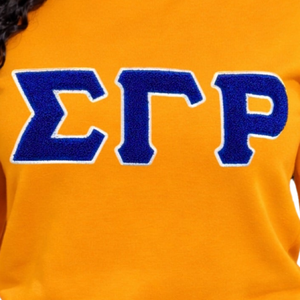 Sweat-shirt en chenille doré Sigma Gamma Rho pour femme, broderie de lettres grecques, mélange de coton, manches longues, coupe décontractée et élégante - Product Image 3