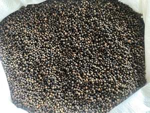 Pimienta Negra Entera Seca, Origen Vietnam Yen Bai, TECHMIFOOD, Especias Culinarias, 1 Año de Duración - Product Image 2