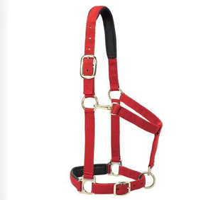 Harnais rose en nylon pour cheval avec rembourrage noir et boucles métalliques pour l'équitation et l'entraînement - Product Image 3