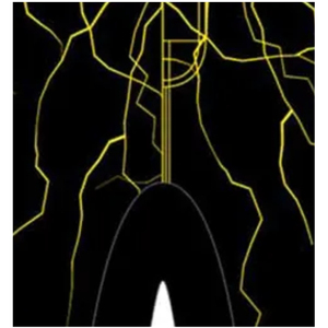 Custom Workout Clothing Men Sportswear Kickboxing <b>Short</b> for Men Custom Boxing Fight <b>Shorts</b> Sublimated <b>Shorts</b> - Product Image 4