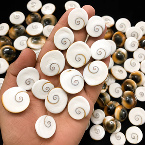 Cabochons en Coquille Œil de Shiva Naturelle de Qualité Supérieure, Coupe Ovale - Pierres Libres Certifiées IGI, Taille Unique, Collection en Gros pour la Fabrication de Bijoux - Product Image 2