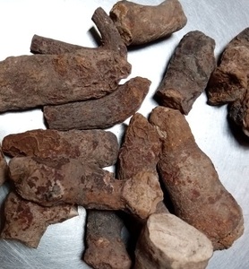 Lilium Polyphyllum Root Dry - Product Image 1