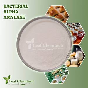 Poudre d'amylase alpha bactérienne Enzyme alimentaire pure | Enzyme de haute qualité pour la digestion de l'amidon et les applications nutritionnelles - Product Image 2