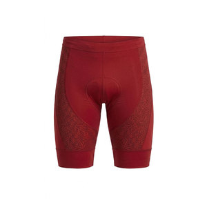 Shorts de cyclisme pour hommes de haute qualité, avec tissu léger et ceinture élastique, pour le cyclisme, la course et l'entraînement physique - Product Image 1