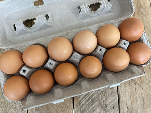 Huevos de Gallina Marrones Congelados de Alta Demanda 2026 para Almacenamiento, Proveedores de Servicios de Alimentación en Puerto Rico, Tiendas Minoristas, Venta al por Mayor Internacional - Product Image 3