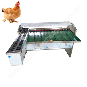 5 Rows Egg Grader <b>Machine</b> Egg Grading Grader <b>Machine</b> Stainless Steel Egg Sorter <b>Machine</b> - Product Image 5