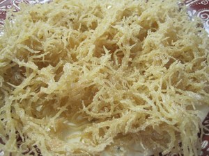 High Quality Golden Cottonii Seaweed Sun <b>Dried</b> Raw Material For Carrageenan Production Natural Marine Algae For Global Export - Product Image 5