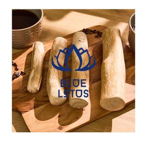 Juguete para Perros MOST WANTED 2026, Madera de Café, Resistente, para Limpieza Dental y Liberación de Energía - Product Image 1