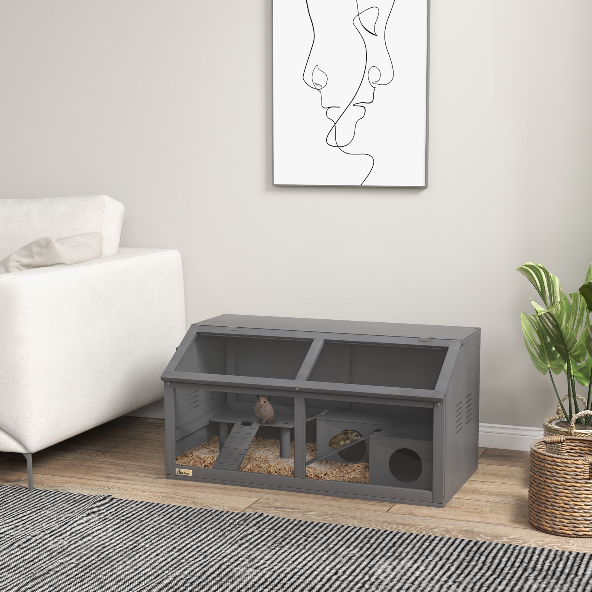 Charcoal Gray Color