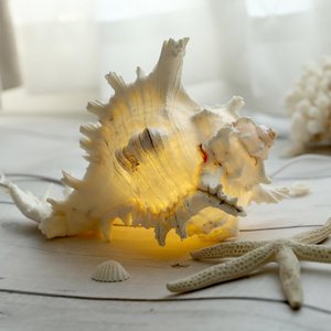 Premium quality natural sea shell table lamps coastal seashell wire <b>night</b> <b>light</b> lamp cheap price - Product Image 5