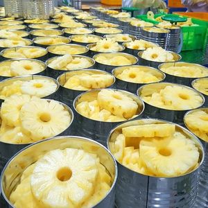 Pineapple en Rodajas Fresca y Sostenible en Almíbar, Fruta Enlatada, Trozos de Piña Conservada de Vietnam - Product Image 5