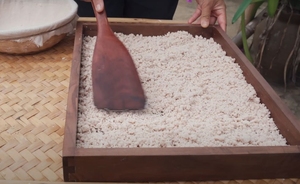 MEILLEUR PRIX Amidon de racine de lotus du Delta du Vietnam, superaliment écologique en poudre, 100% naturel, origine Dong Thap, durée de conservation de 12 mois - Product Image 5