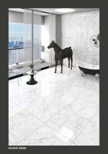 Regal Aura - Baldosa de Porcelana Brillante de 600x600 mm, 60x60 cm, 24x24 Pulgadas, Elegante, Cuadrada, Decorativa, para Pisos Arquitectónicos - Product Image 6