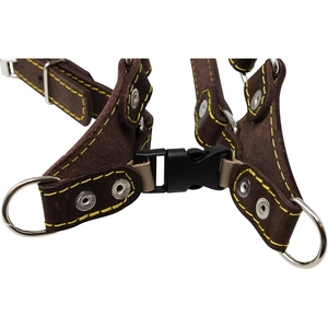 Studded Leather <b>Dog</b> <b>Harness</b> with Adjustable Straps, Secure Metal Buckles, and Strong Leash Ring for Walking and Outdoor Training - Product Image 3